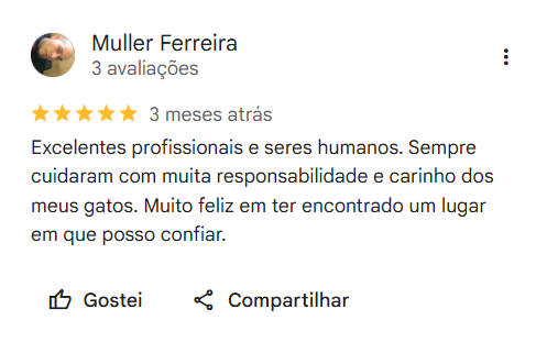 Print de avaliação no Google 3