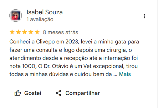 Print de avaliação no Google 6