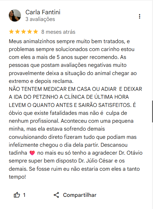 Print de avaliação no Google 9