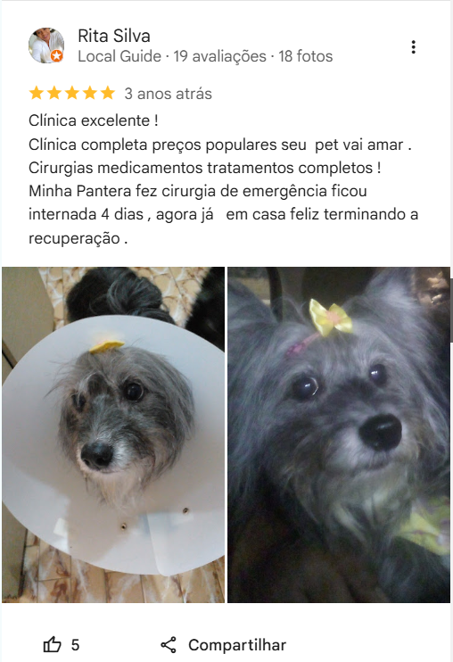 Print de avaliação no Google 10