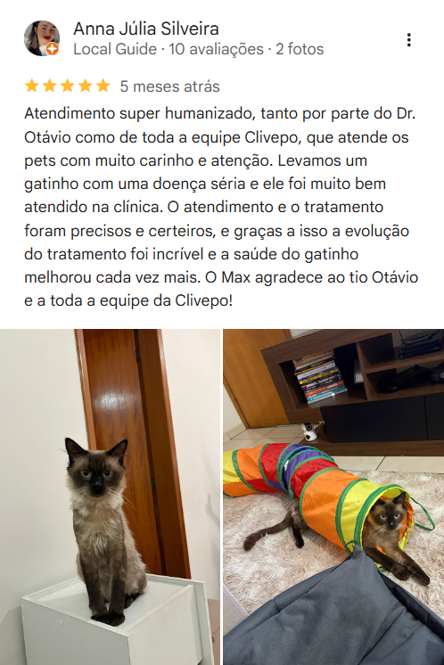 Print de avaliação no Google 1